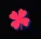 Bonus Icon